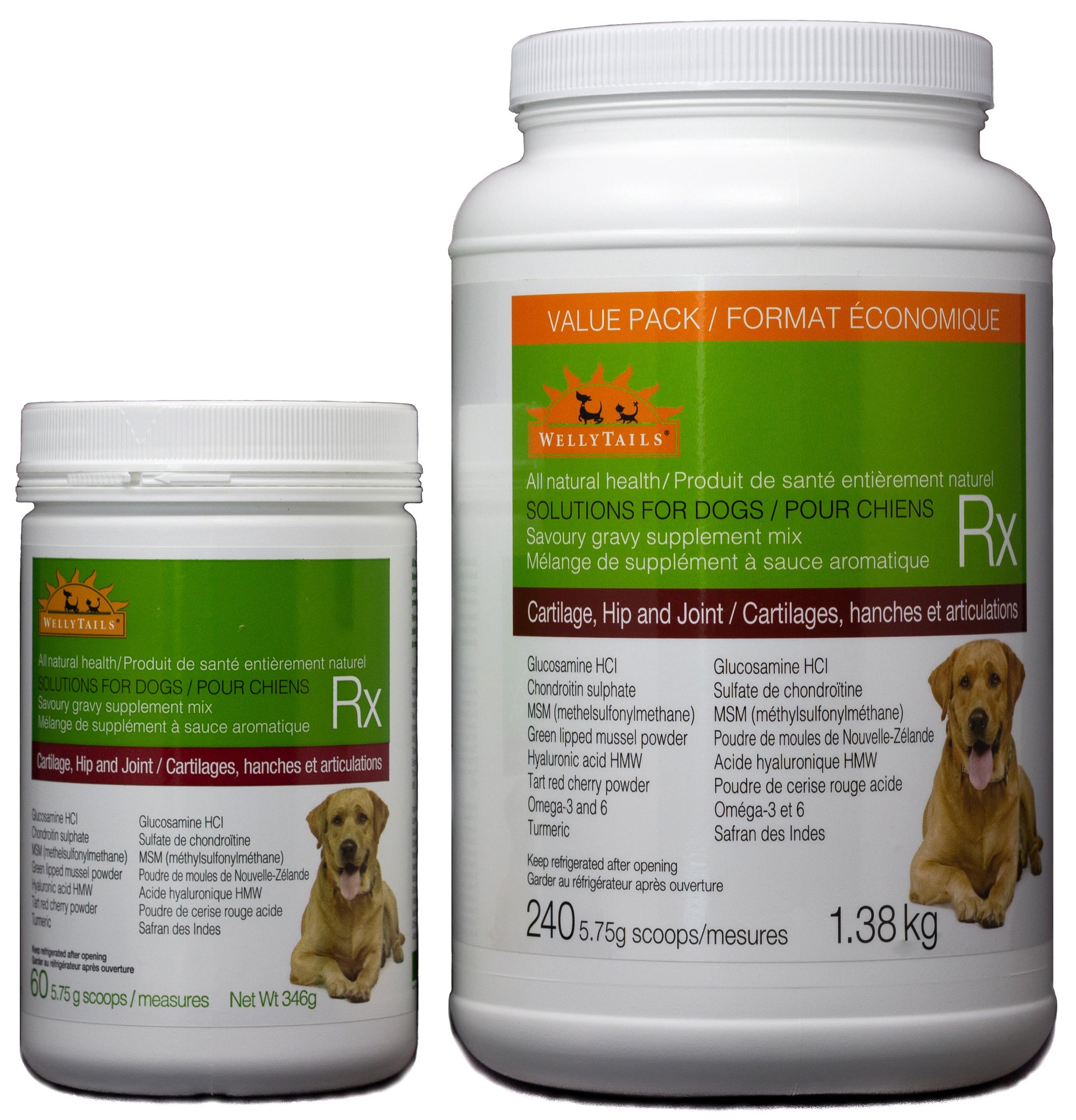Veterinary Treatment Options for Dogs with Arthritis