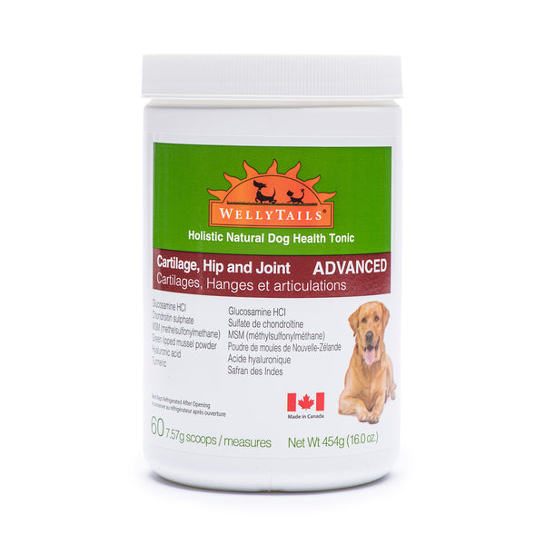 Joint food best sale for dogs