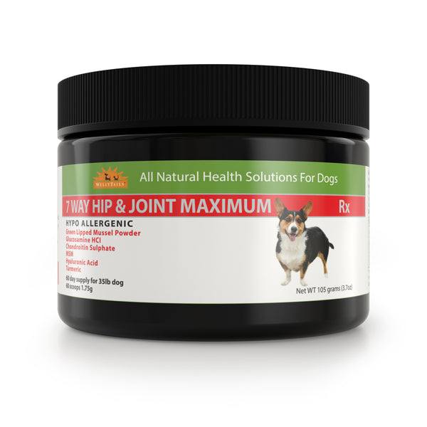Dog food for hip and joint health store