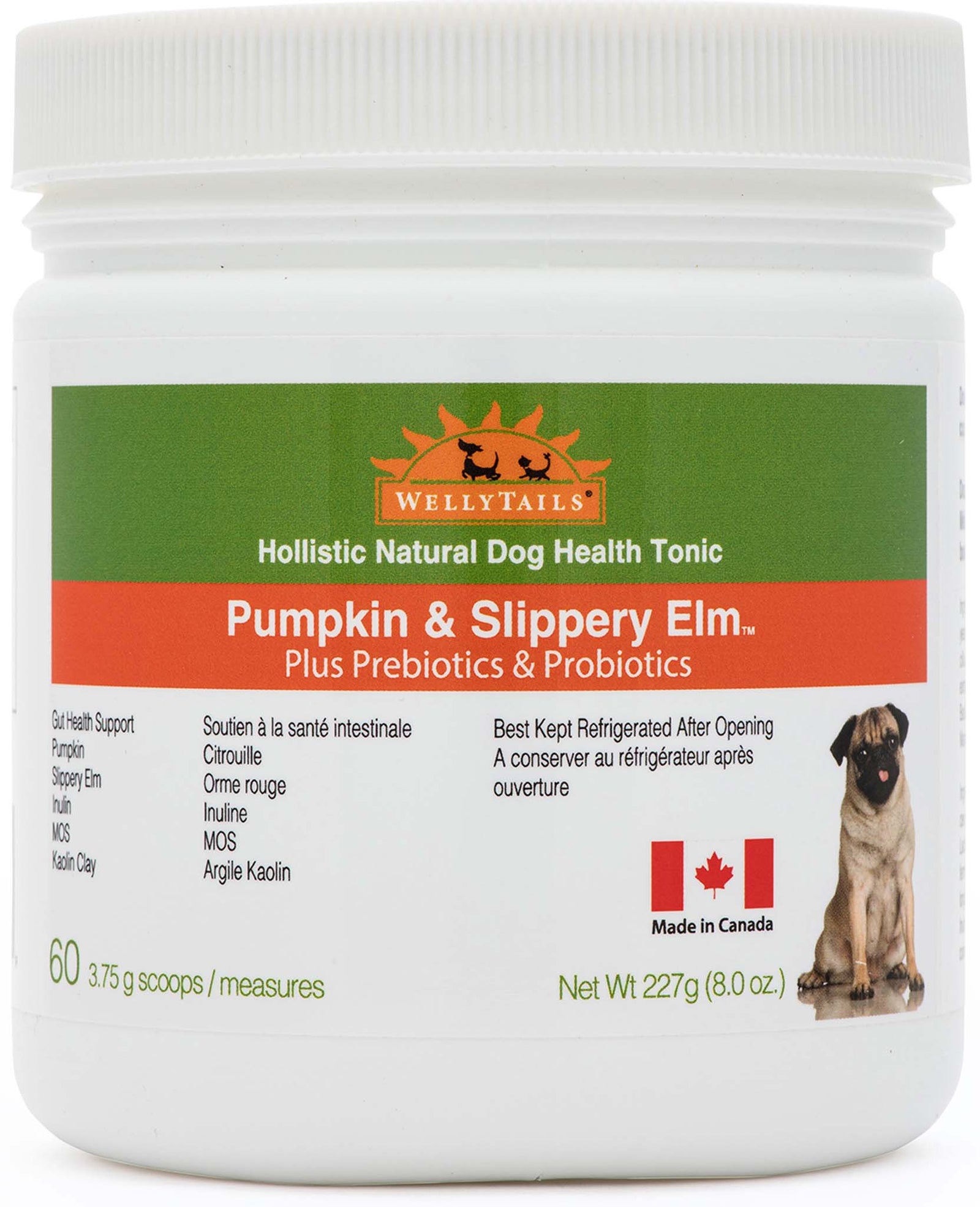 WellyTails Pumpkin & Slippery Elm with GUT Probiotics & Prebiotics