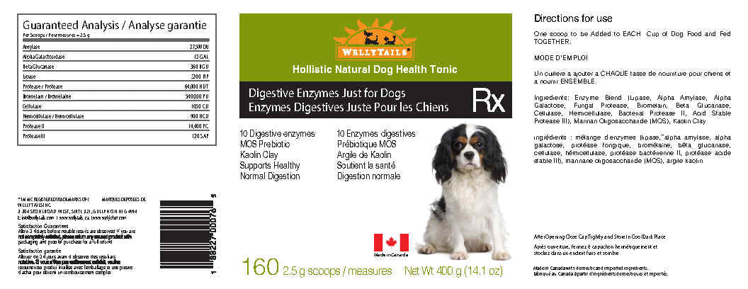 Enzymes digestives WellyTails réservées aux chiens